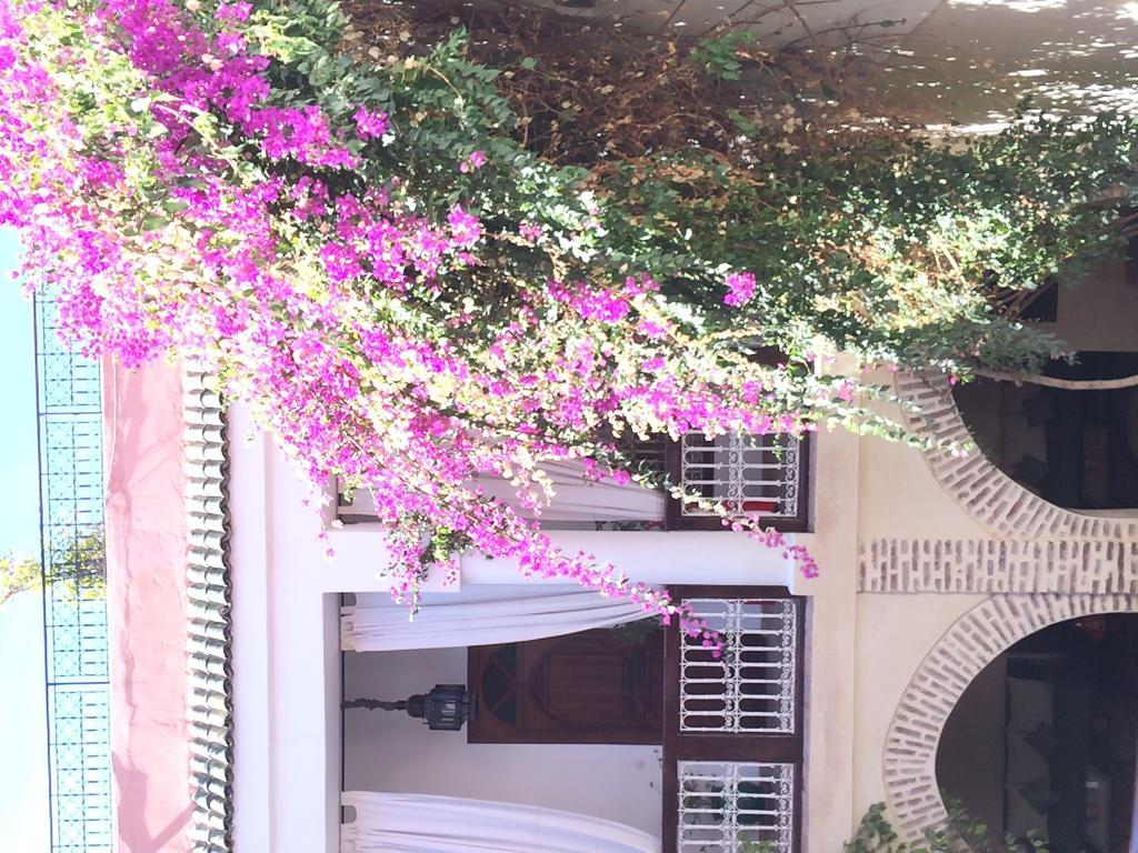 Riad Dar Palmyra Marrakesh Bagian luar foto