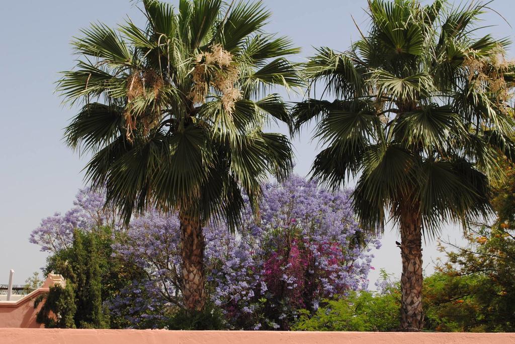 Riad Dar Palmyra Marrakesh Bagian luar foto